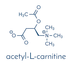 ACETYL-L-CARNITINE (ALCAR) SUPPLEMENT - Infinte Labs