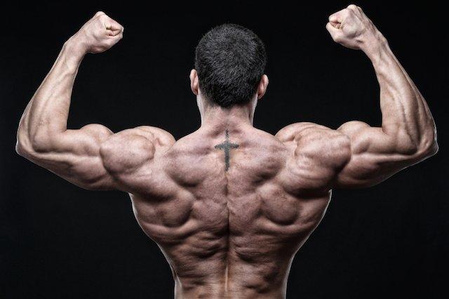 12 weeks of sustained vs explosive contraction for muscle mass which is ...