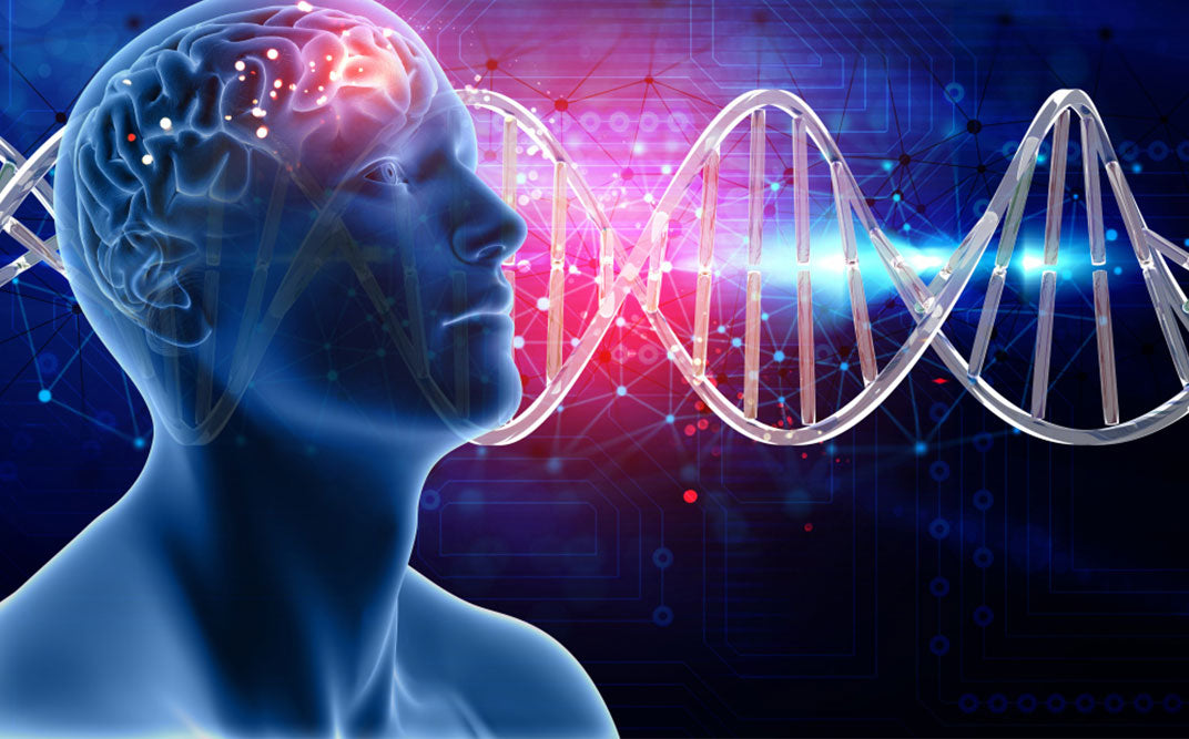 Boost Brain Health with Liposomal Magnesium L-Threonate