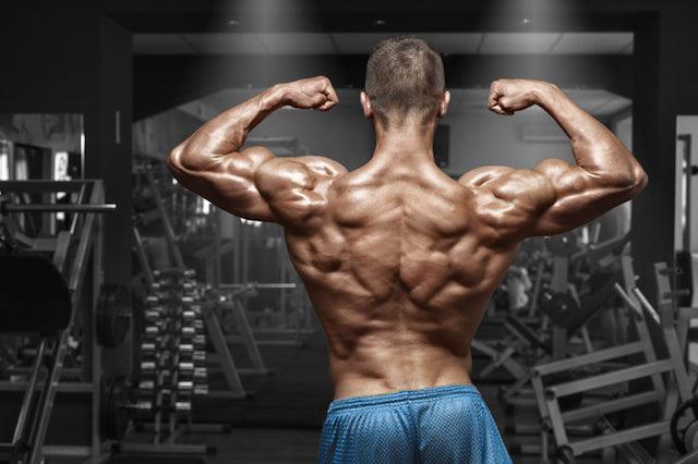 V shaped back, infinite_labs
