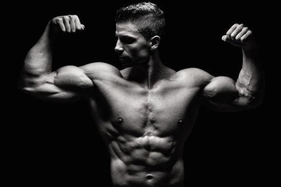 muscle growth, infinite_labs