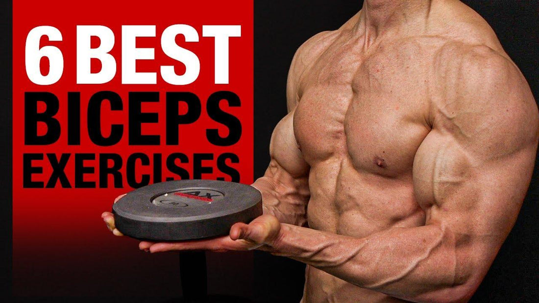 Top Next Level Best Biceps Workout to Build Muscle Mass and Bigger Arms - Infinte Labs