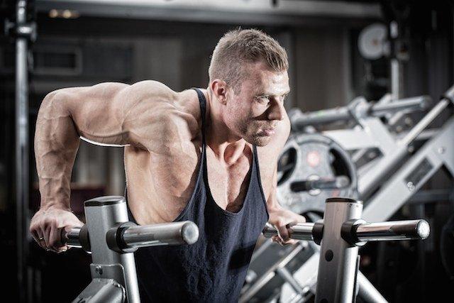 weak bosy parts, arms, infinite_labs