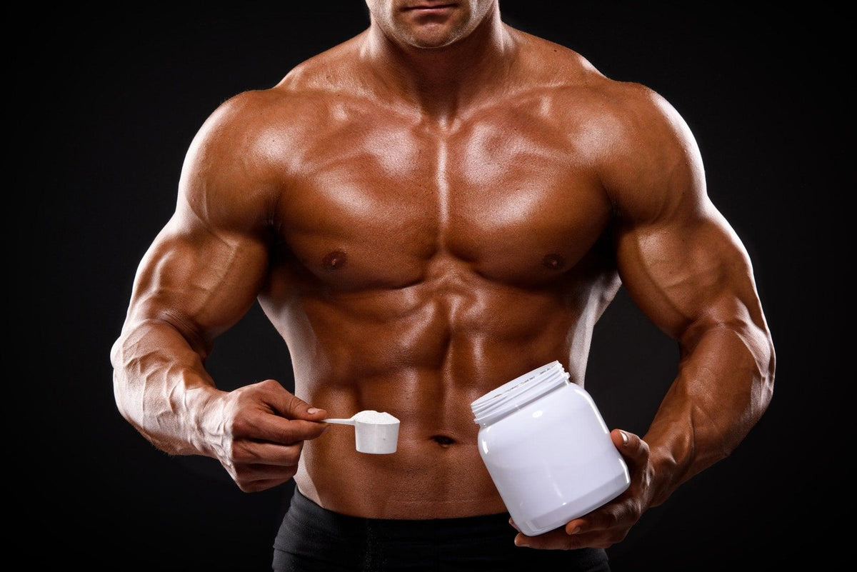 creatine supplementation