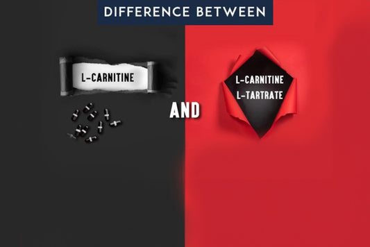 Comparing L-Carnitine Tartrate vs. Acetyl L-Carnitine: Which is Right for You?