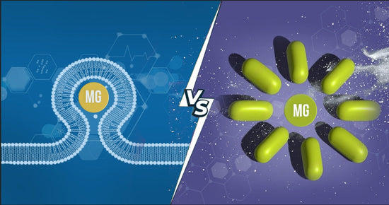 Liposomal Magnesium vs. Traditional Forms