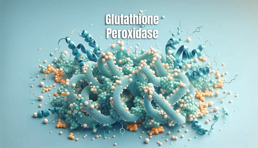 Glutathione Peroxidase
