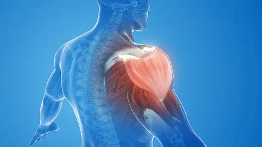 Magnesium Benefits 