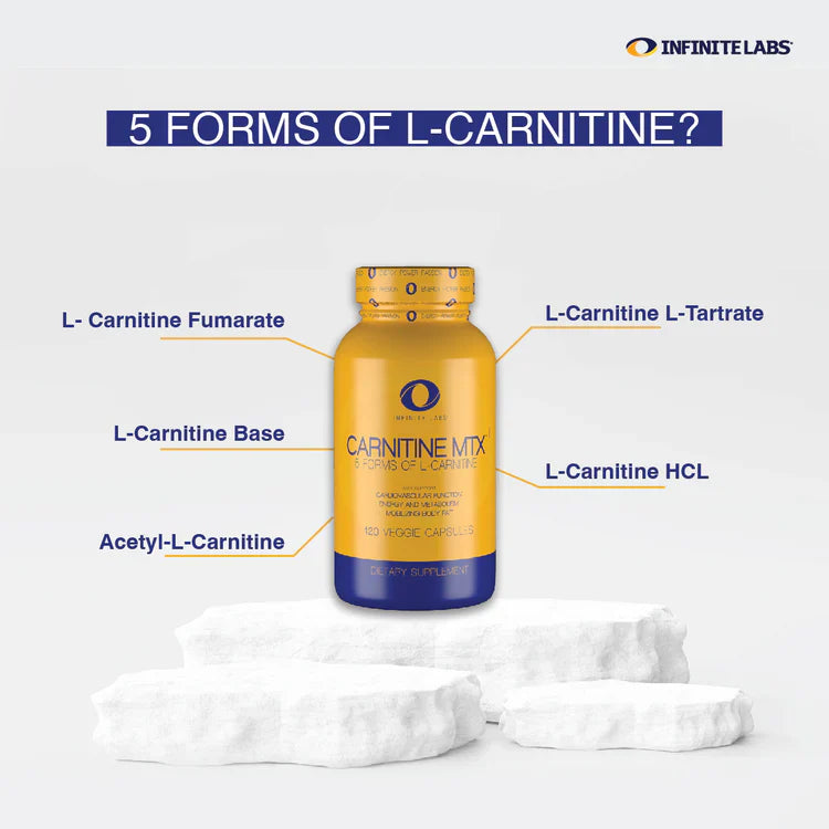 Infinite Labs Carnitine Mtx - Infinite Labs Infinite Labs Carnitine Mtx - Infinite Labs