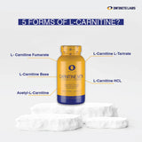 Carnitine MTX