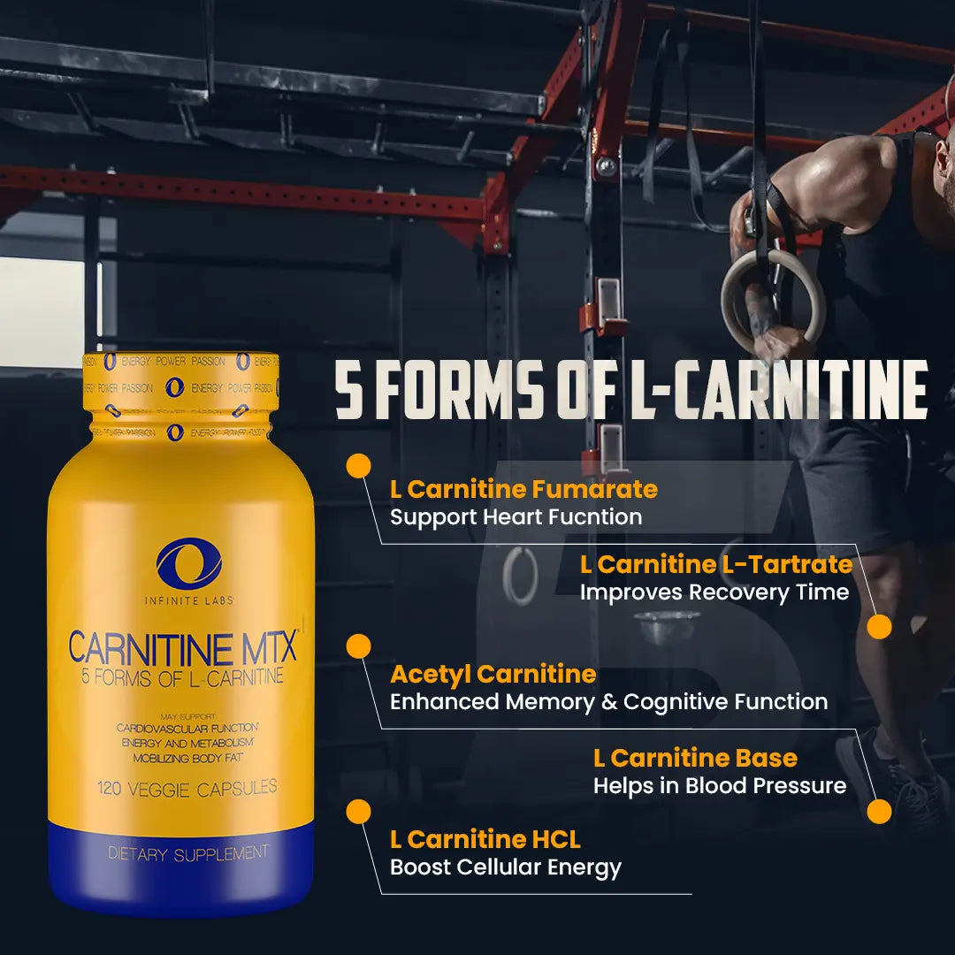 Infinite Labs Carnitine Mtx - Infinite Labs Infinite Labs Carnitine Mtx - Infinite Labs