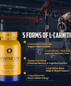 Carnitine MTX