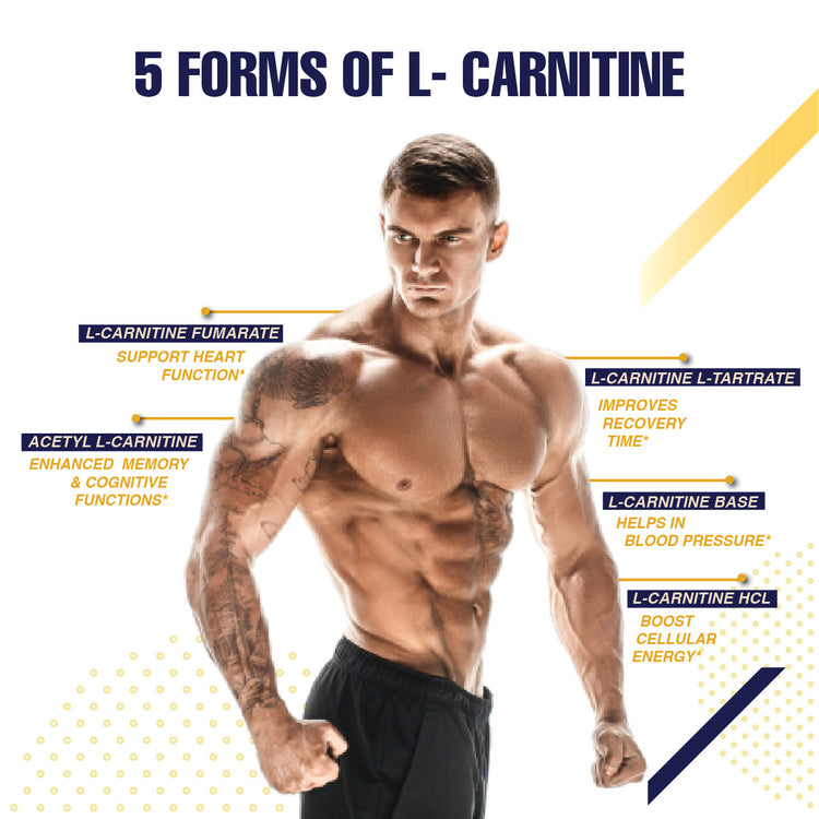 Forms of Carnitine MTX