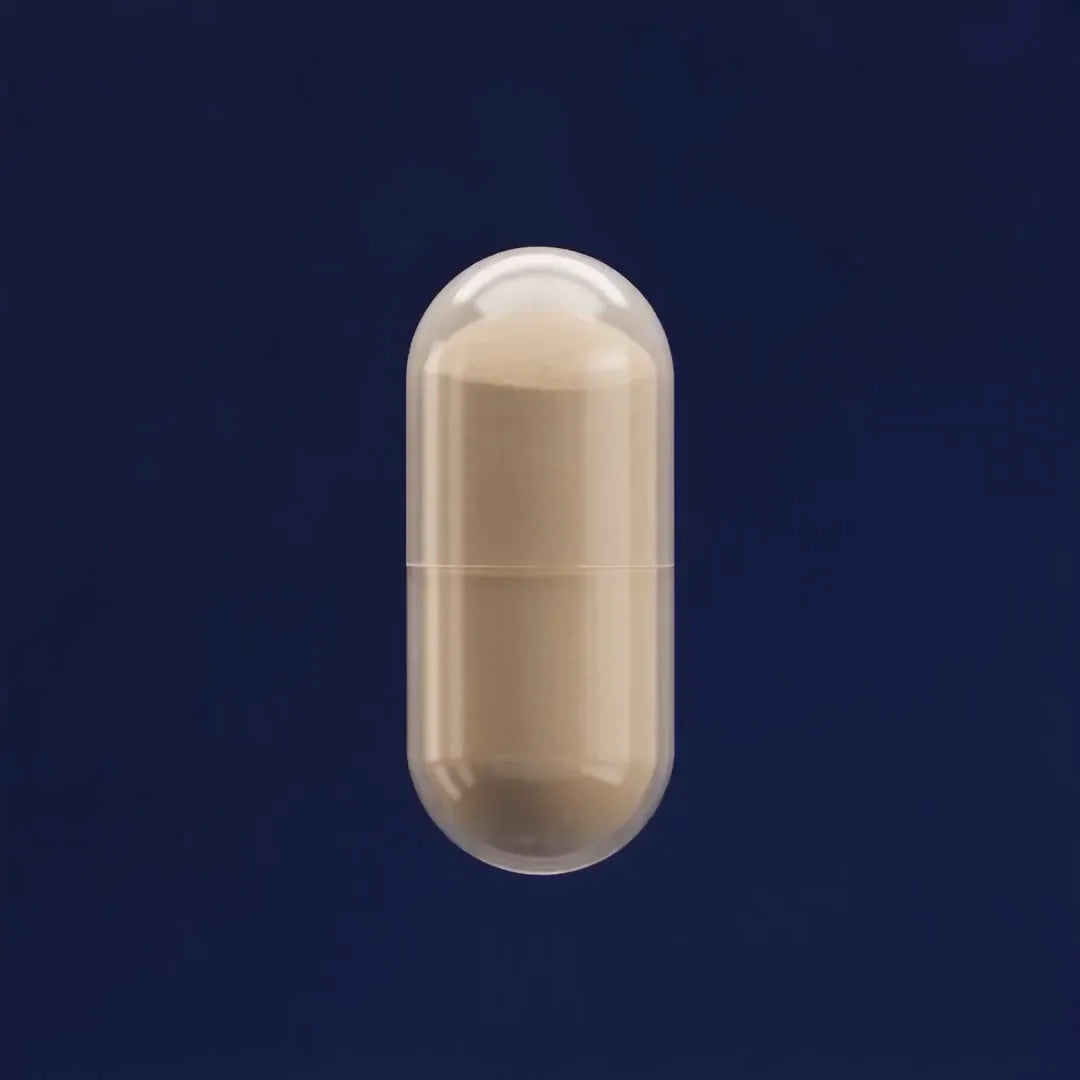 A single upright translucent capsule filled with fine powder. Conceptual illustration, not to scale.